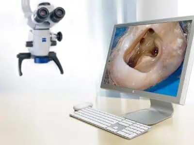 New England Endodontic Solutions