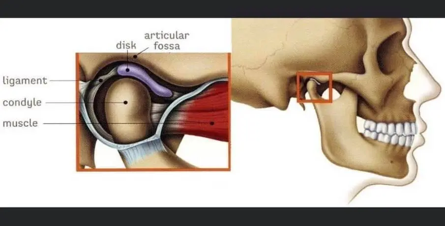 Dentology