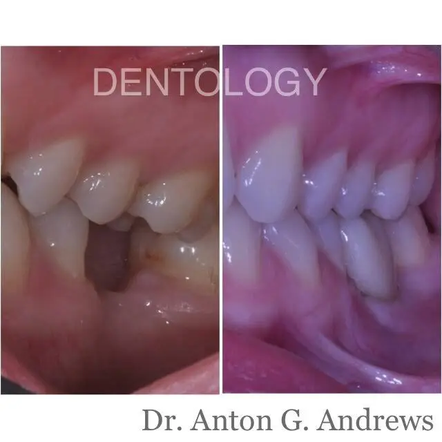 Dentology
