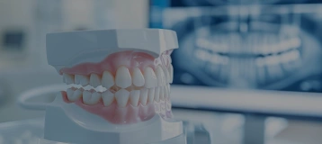 White Birch Family Dental