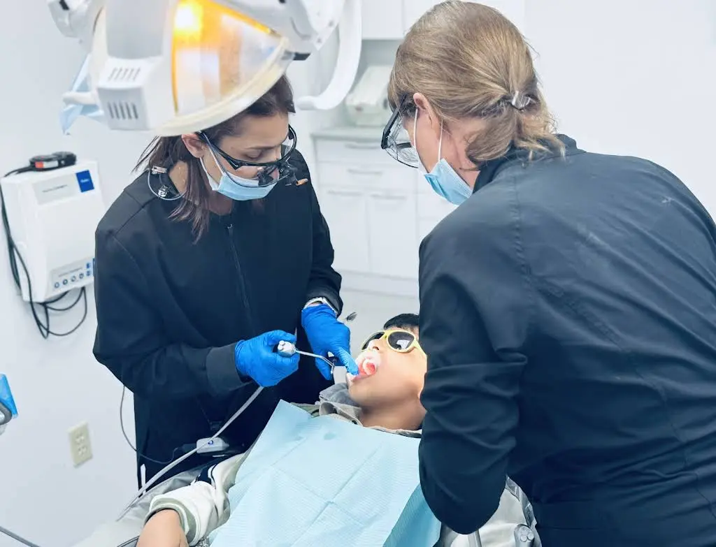 Haus of Dentistry