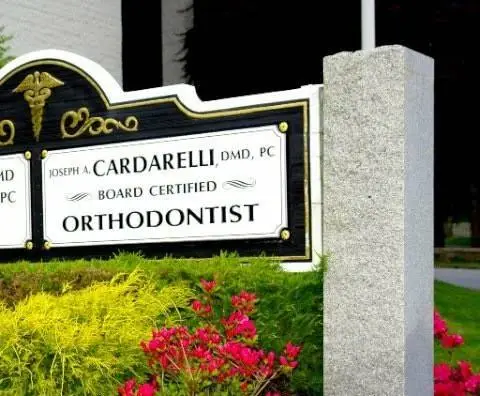 Joseph Anthony Cardarelli, Jr., D.M.D.