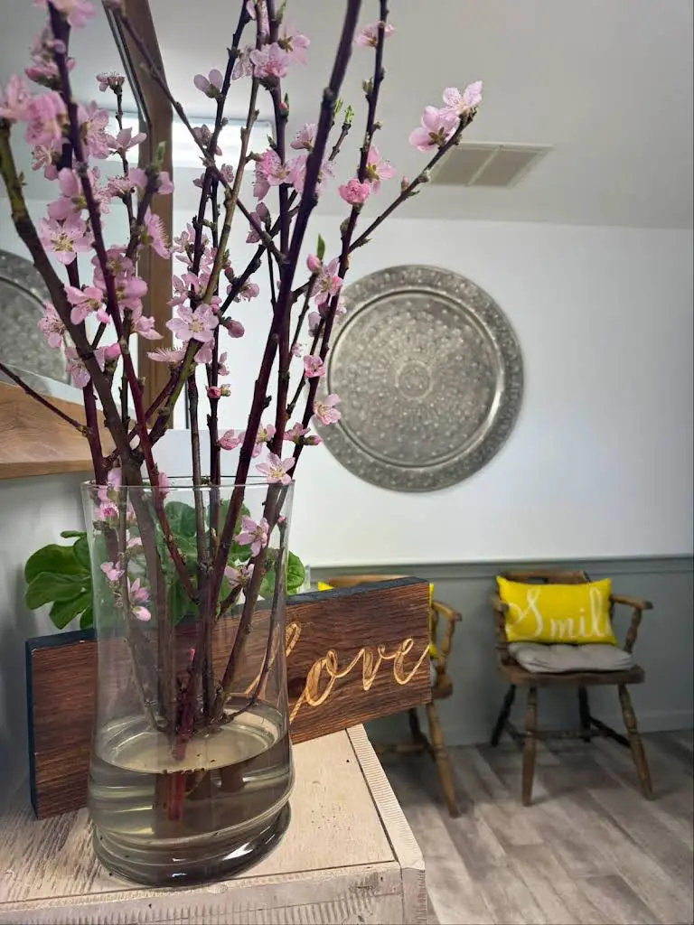 Osterville Family Dental