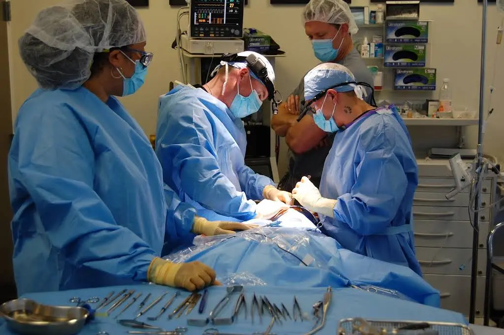 North Boston Oral and Facial Surgery