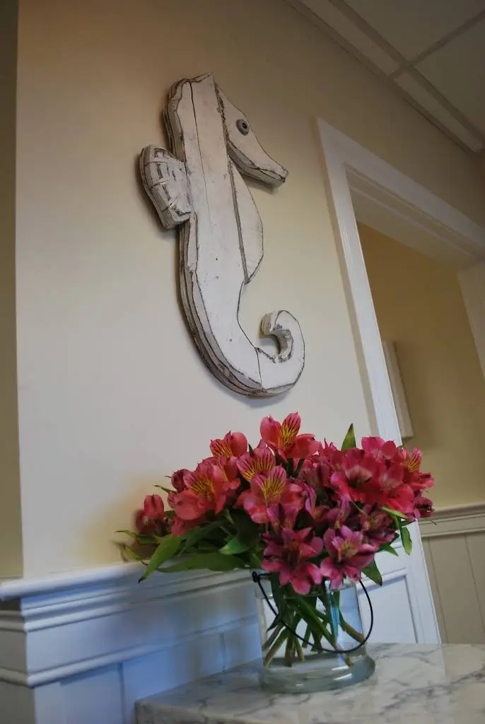 Cape Cod Pediatric Dentistry