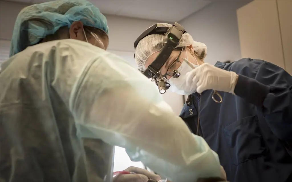 Newburyport Oral Surgery