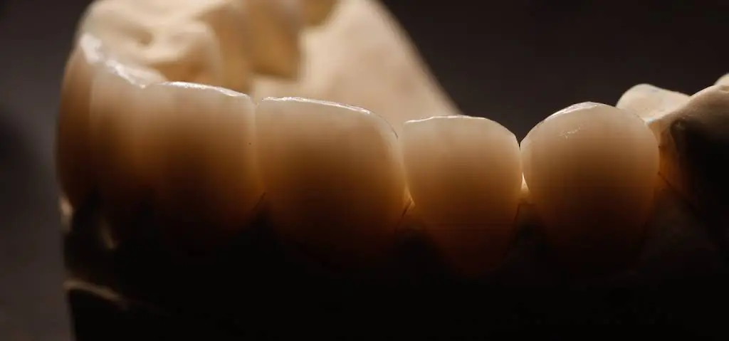 Locust Street Dental Center