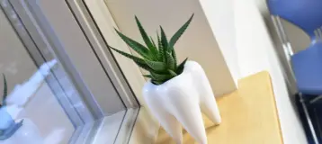Community Dental