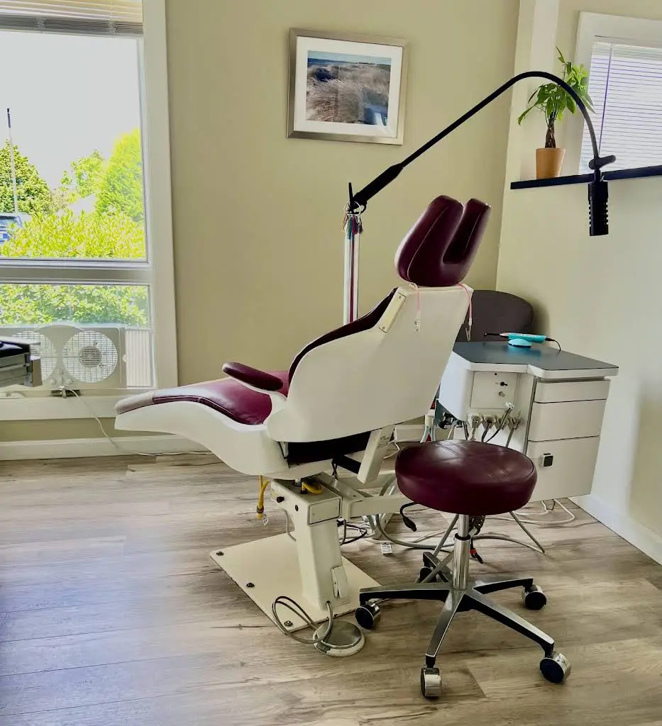 Teguis Orthodontics
