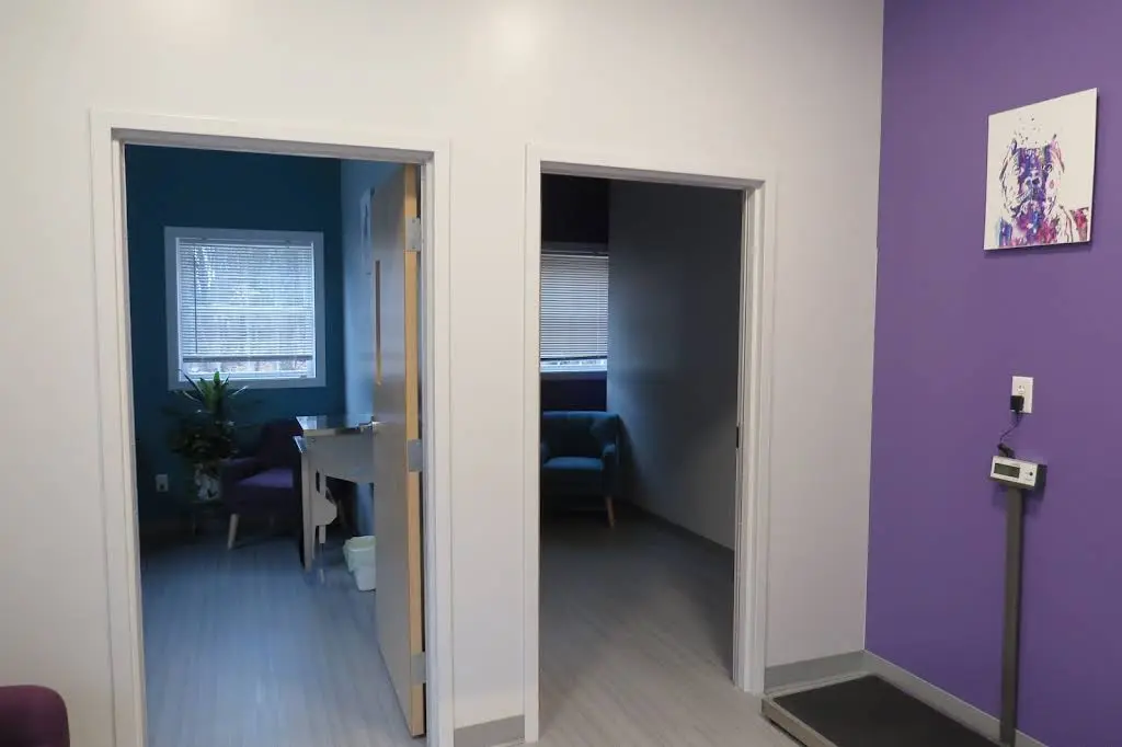 Mainely Veterinary Dentistry - Professional dental clinic exterior with modern facilities