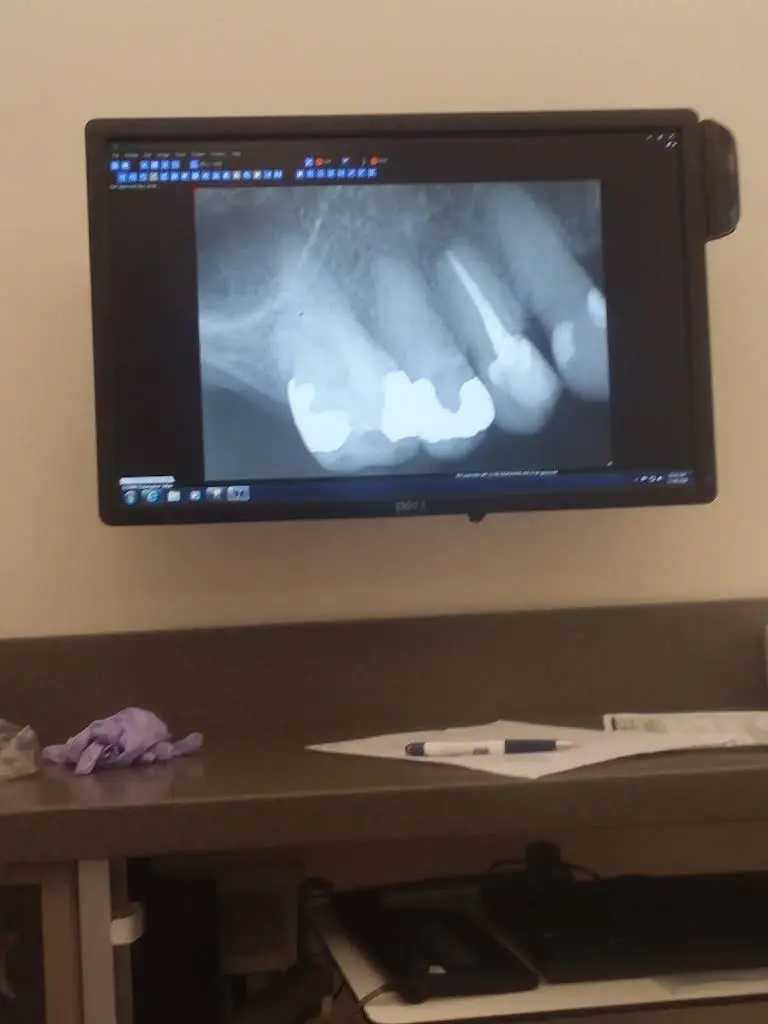 UNE Oral Health Center