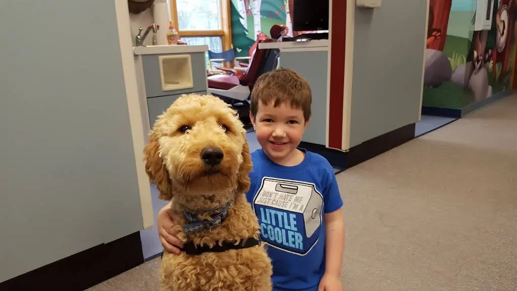 Just Kids Pediatric Dentistry