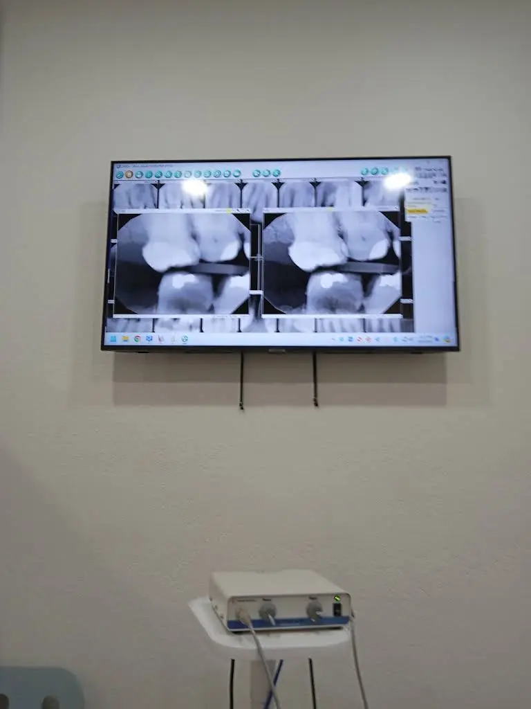 Alce Dental Care