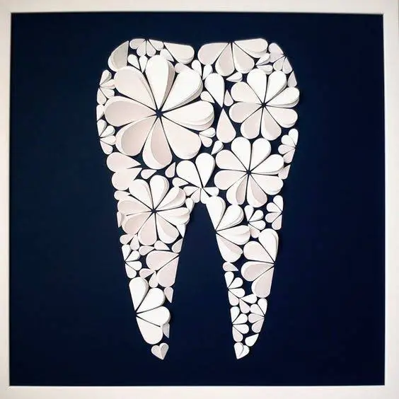 Monumental Dental