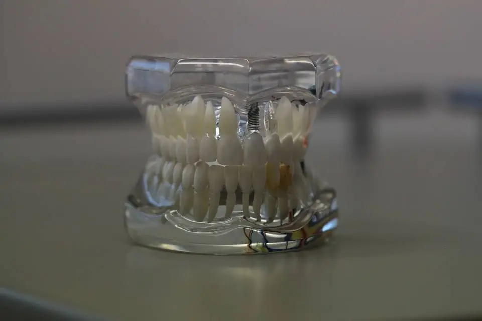 Elevation Family Dental - Dr. Judd Chamberlain