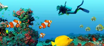 Ocean Dental