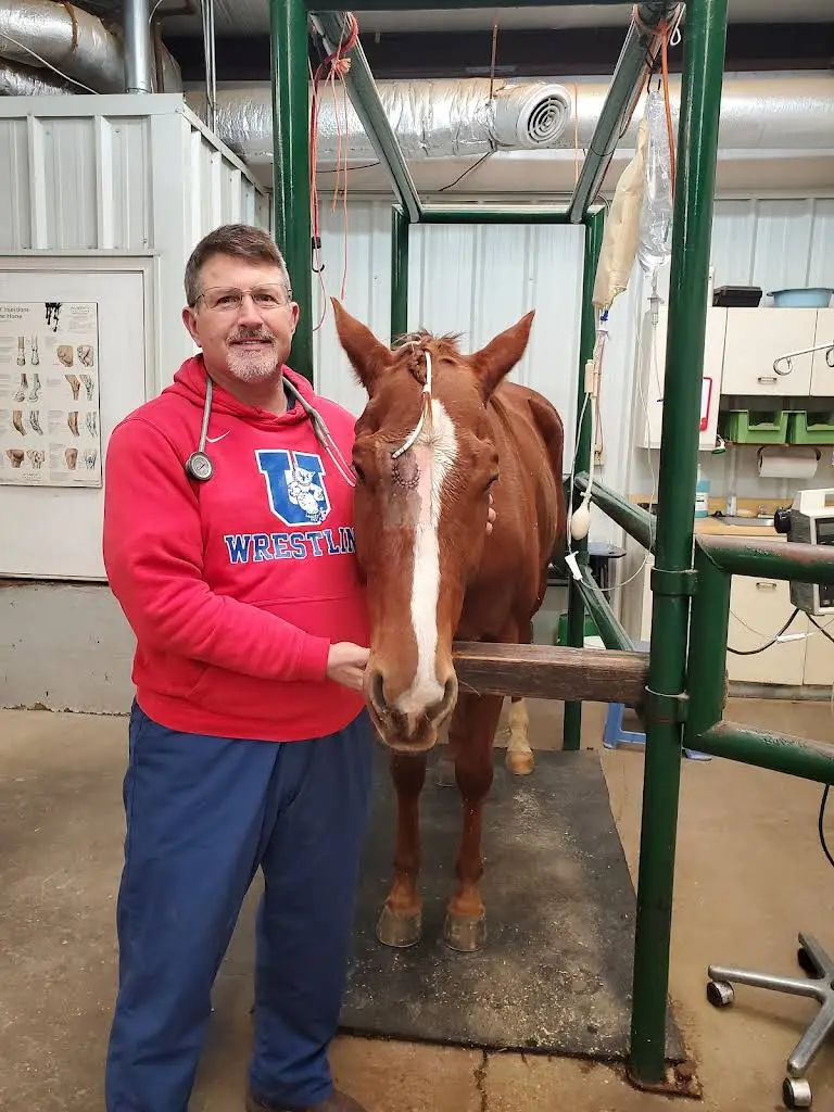Animal Dental Care Specialists