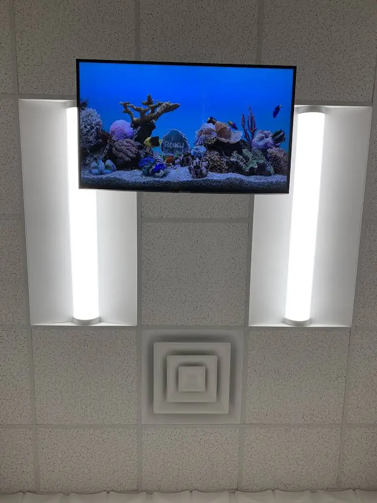 901 Dental