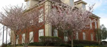 Botts Dental Spa - Cordova
