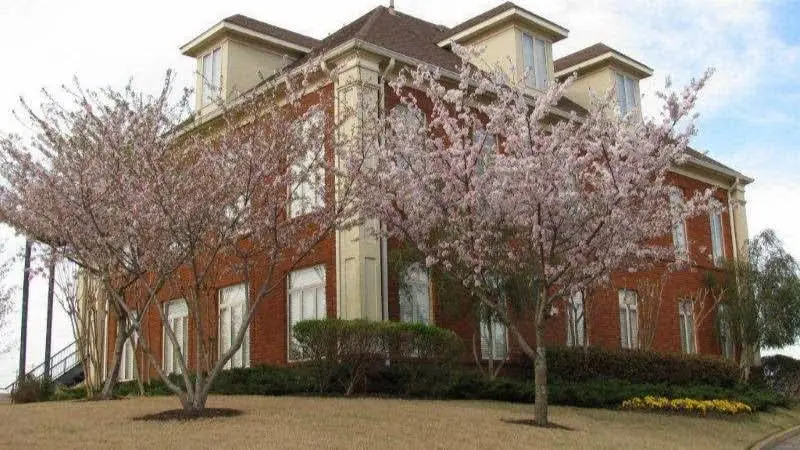Botts Dental Spa - Cordova - Professional dental clinic exterior with modern facilities