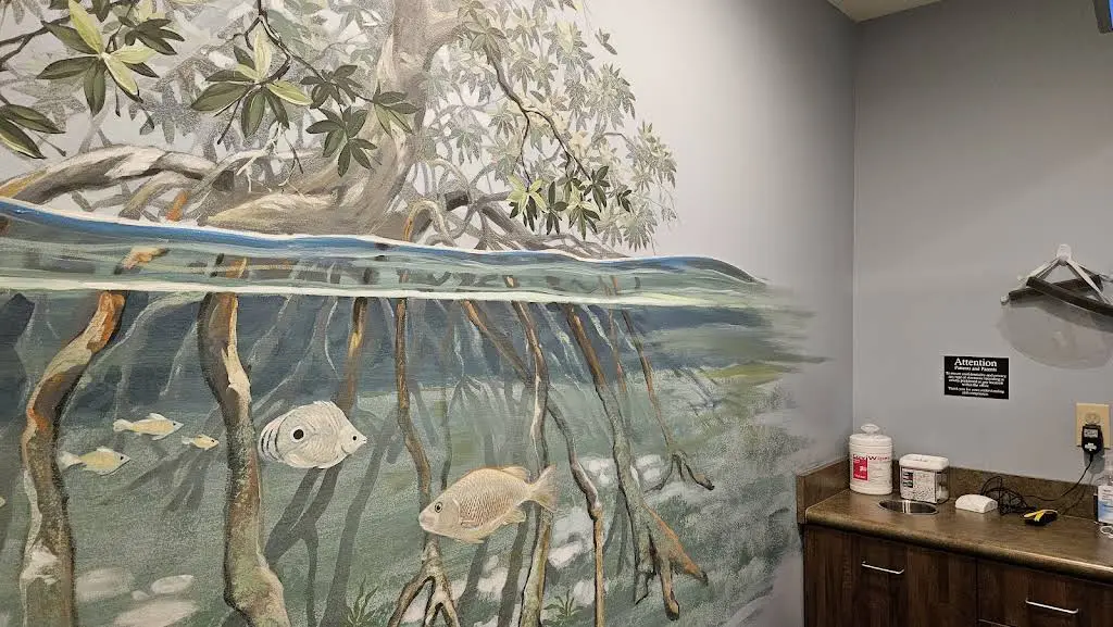 Brink & White Pediatric Dental Associates