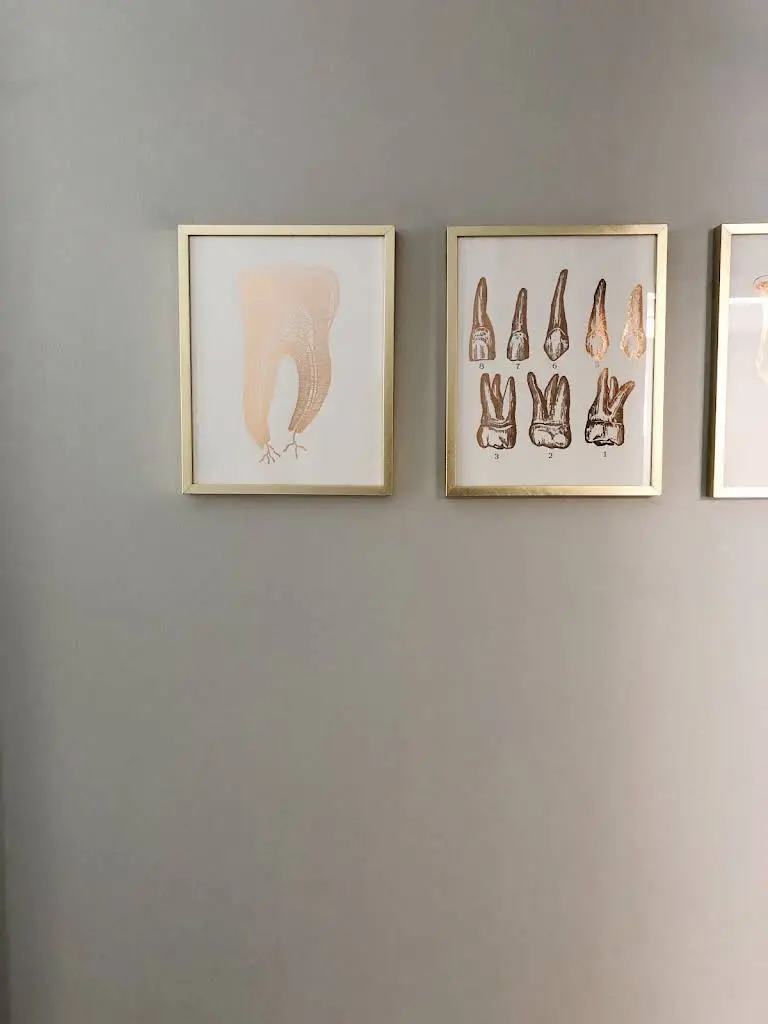 Shelby Dental