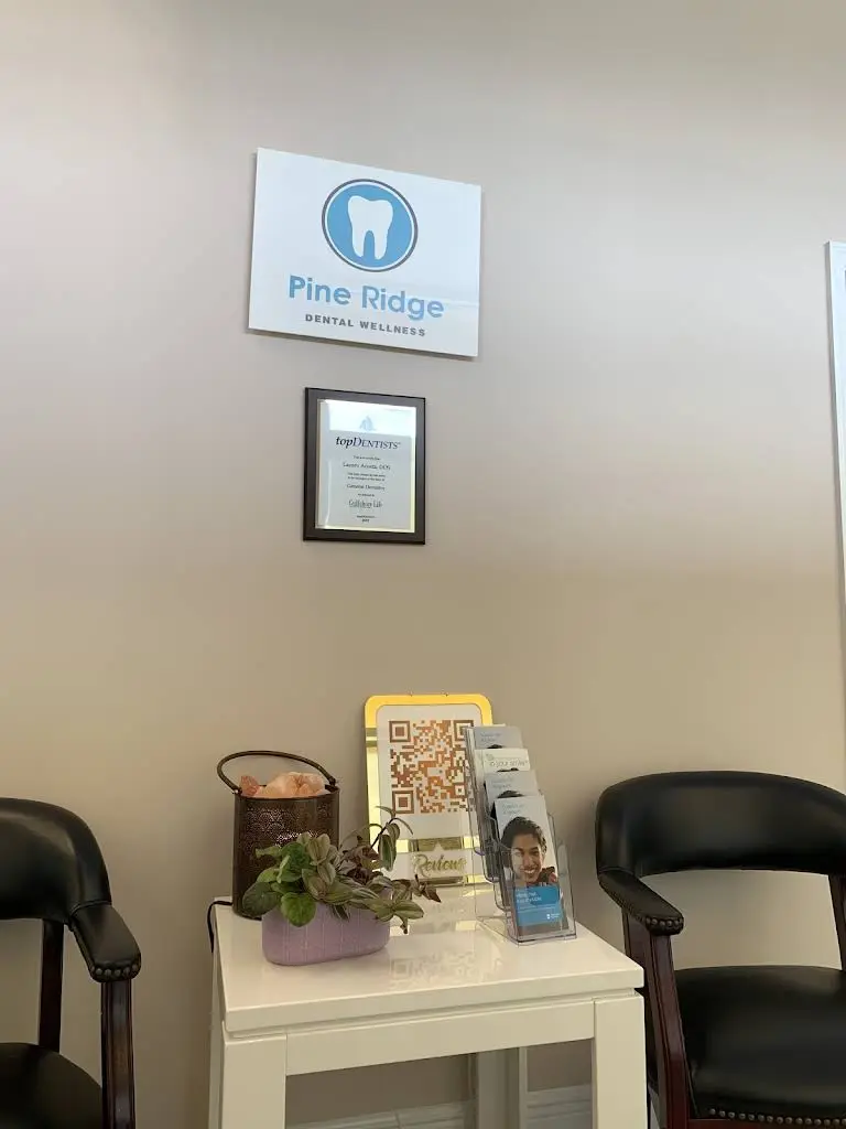 Pine Ridge Dental Wellness - Professional dental clinic exterior with modern facilities