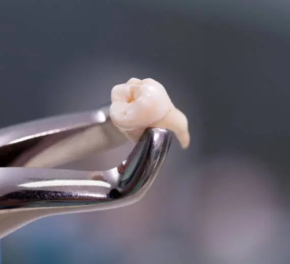 Molar Bear Dental