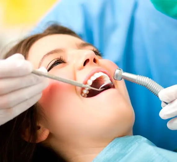 Molar Bear Dental