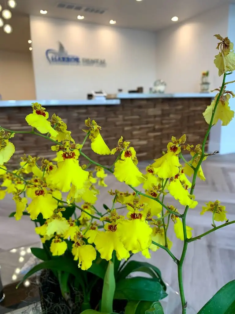 Harbor Dental