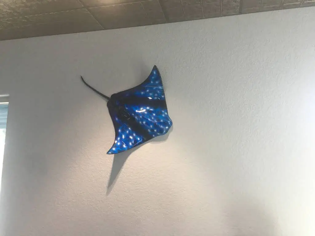 Vakani Orthodontics