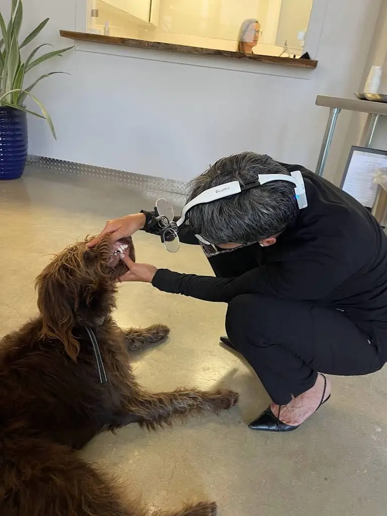Pure Dental