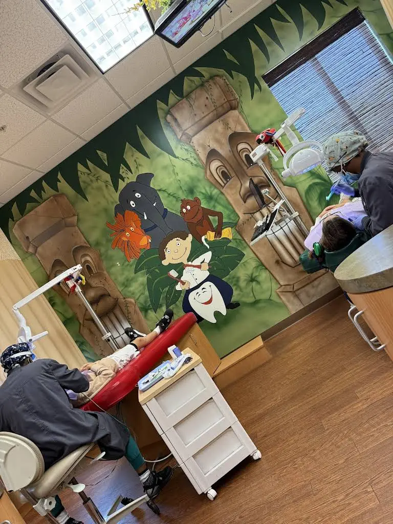 Tomer Haik, DDS, PA