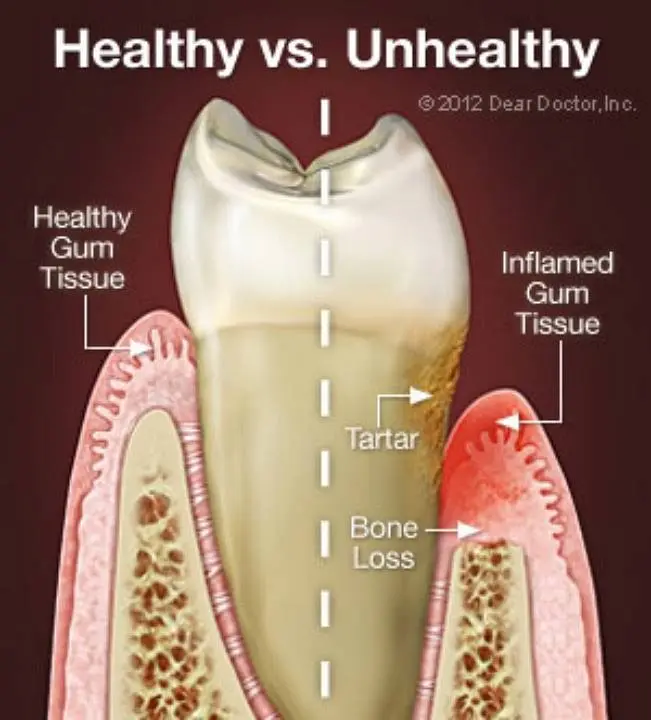 Riverdale Dental Associates