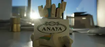 The Anaya Clinic