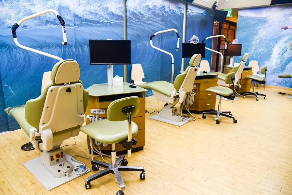 Meier Orthodontics