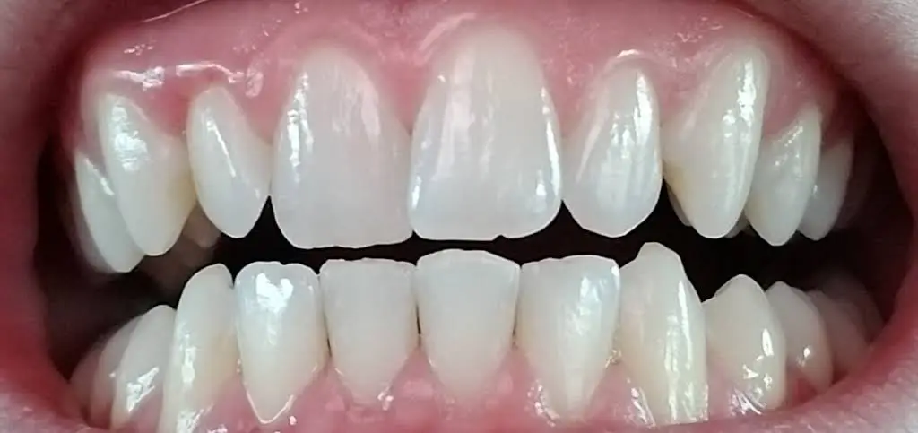 Miguel Ferrer DDS PA