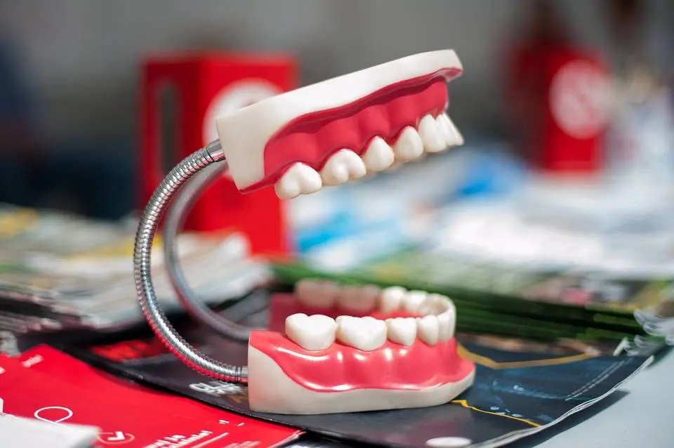 Family Dental Care
