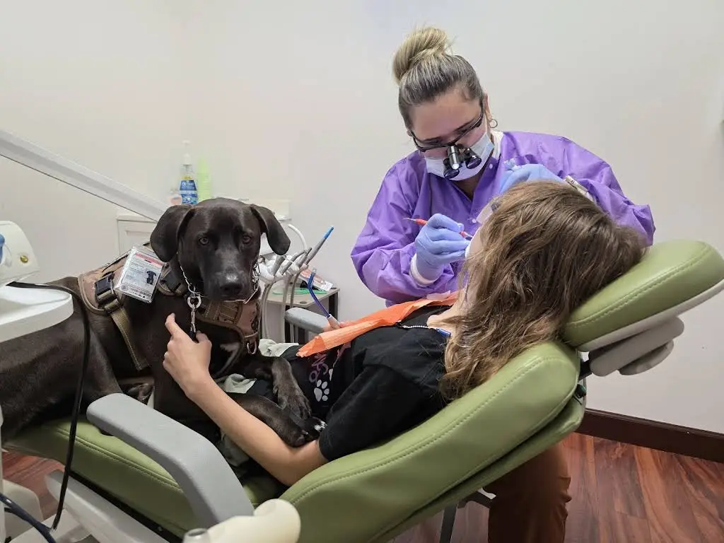 Edgewater Family Dentistry