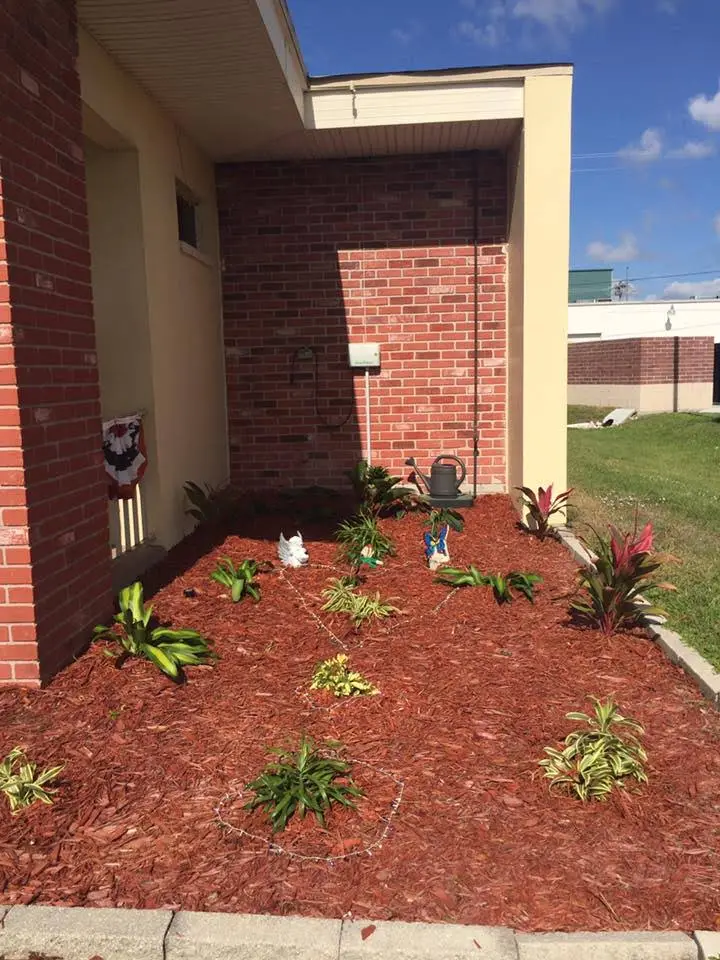 Adult Dentistry of Southwest Florida