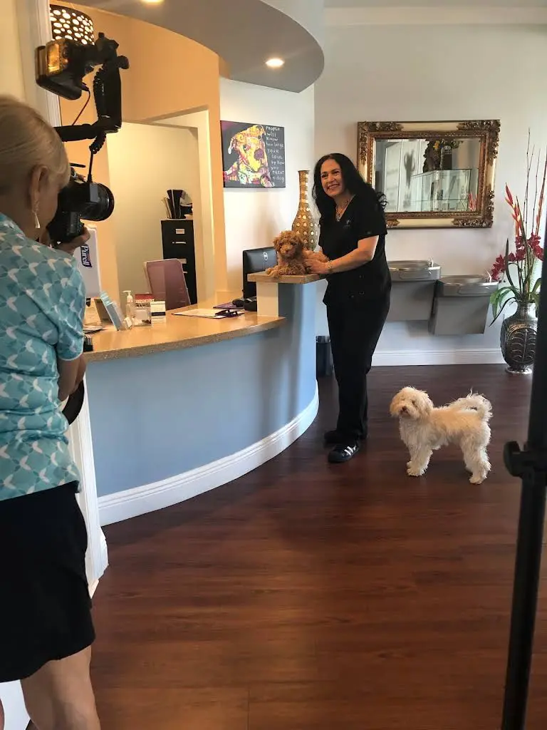 Smile Design West Boynton Beach