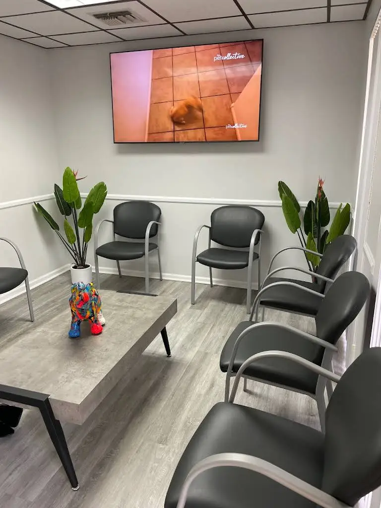 Dental Team Of Delray Beach