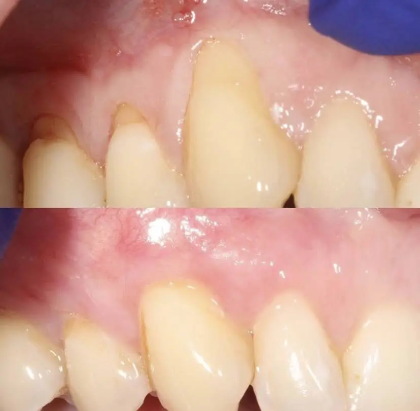 Signature Dental Group