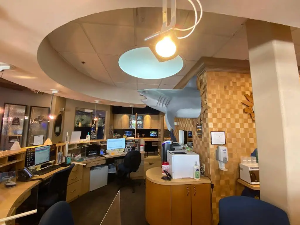 Kawa Orthodontics