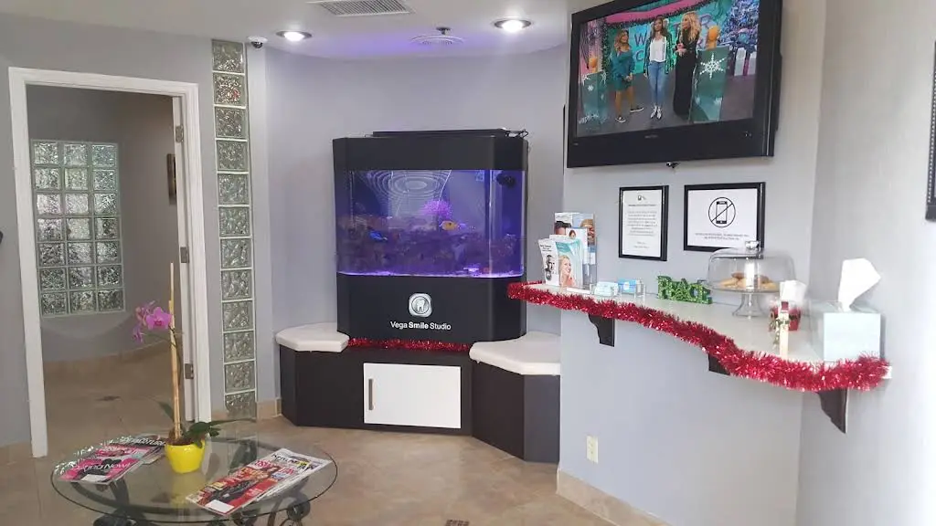 Vega Smile Studio