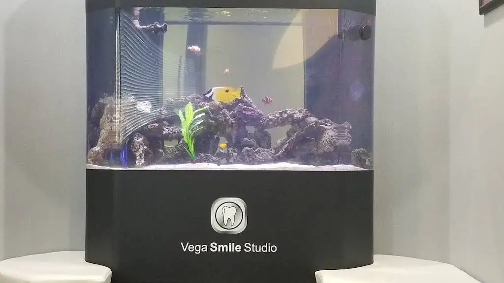 Vega Smile Studio