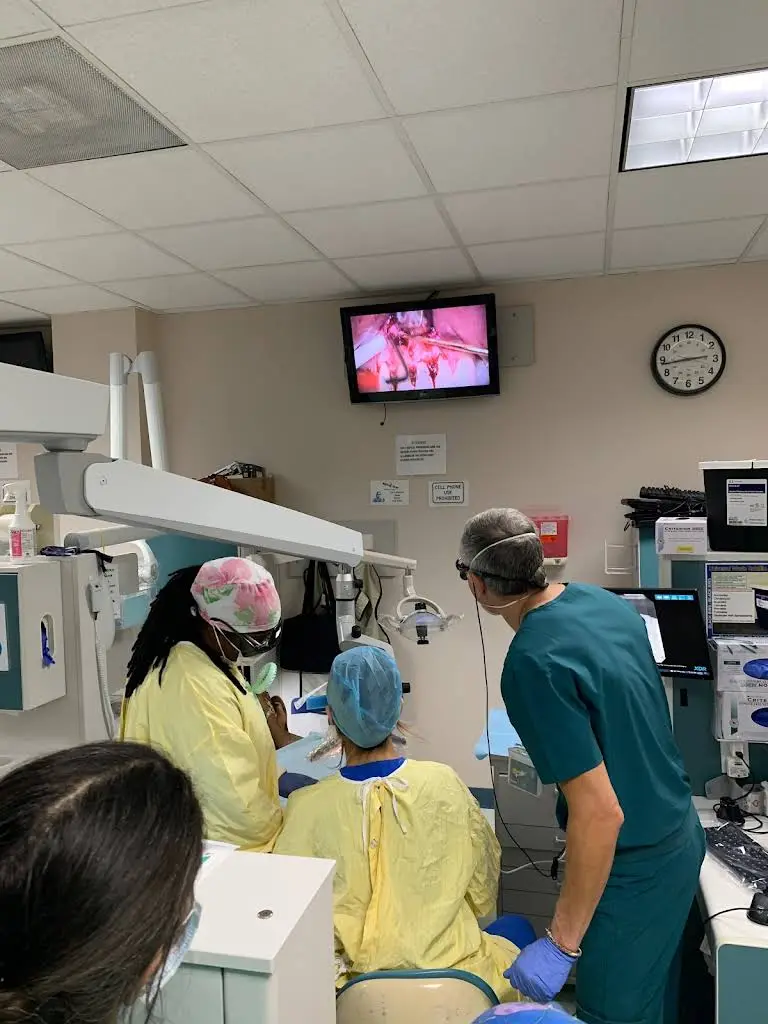 Jordan L. Schapiro D.D.S. Endodontics