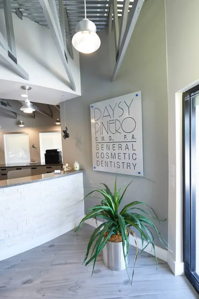 Daysy Pinero DMD PA / Dental Wellness Team