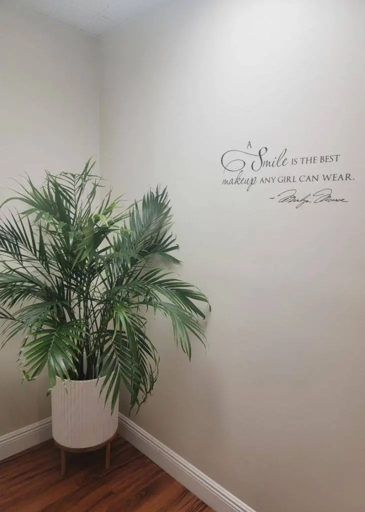 Brian Snyder, DDS