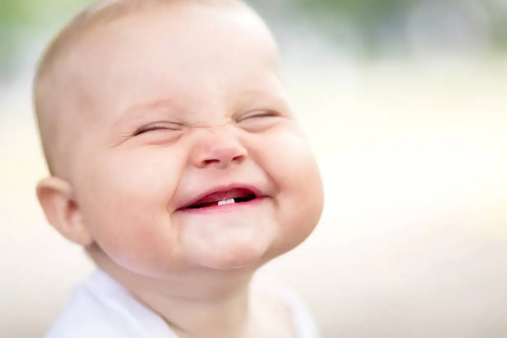 TLC Dental